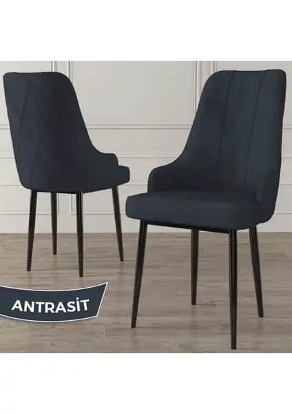 Canisa Concept Trex Serisi Babyface Kumaş Sandalye Modern Tasarım ve Yüksek Konfor Özellikleri