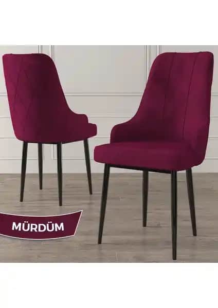 Canisa Concept Trex Serisi Modern ve Konforlu Oturma Çözümü Yüksek Kalite ve Estetikle Tasarlandı