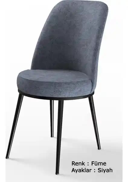 Canisa Dexa Serisi Modern ve Konforlu Metal Çerçeveli Sandalye Özellikleri ve Tasarımı