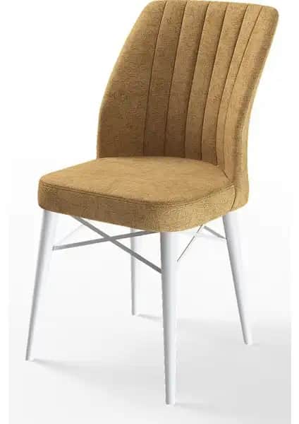 Canisa Flex Serisi Gürgen Ayaklı Sandalye Modern Tasarım ve Dayanıklılık Özellikleriyle