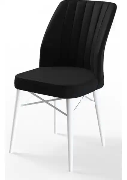 Canisa Flex Serisi Gürgen Ayaklı Sandalye: Modern Tasarım ve Uzun Ömürlü Kullanım