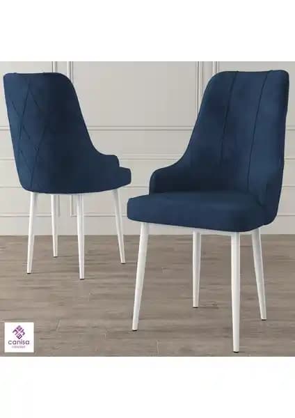 Canisa Trex Serisi Modern ve Dayanıklı Sandalye Tasarımı ve Özellikleri