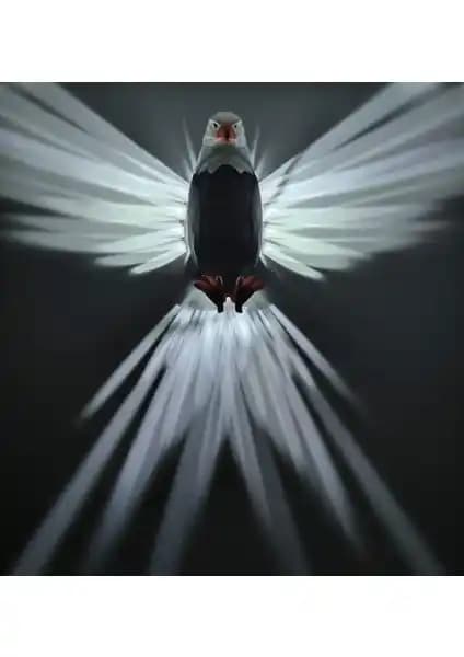 Work3d Kartal Modelli Dekoratif Aplik: Modern Tasarım ve Çok Yönlü Fonksiyonellik