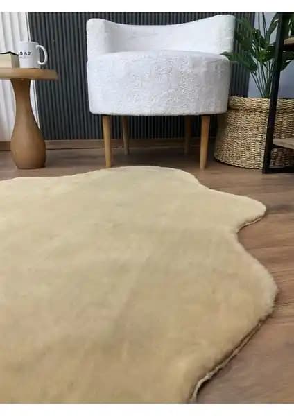 Ev Dekorasyonunda Kullanılan Yumuşak ve Yıkanabilir Peluş Halıların Karşılaştırması