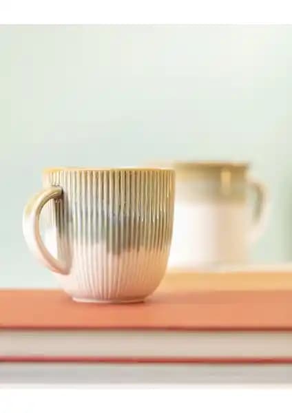 Madame Coco Olivie ve Orchide Reacy Kupa Karşılaştırması: Tasarım, Hacim ve Kullanıcı Yorumları