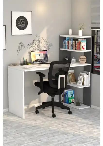 Moonlife Çınar ve Hipo Çalışma Masası Karşılaştırması ve Özellikleri