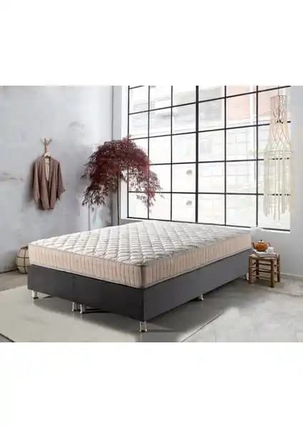 Mubah Golden Star ve US. Sleeping Ortopedik Yaylı Yatak Karşılaştırması ve Özellikleri