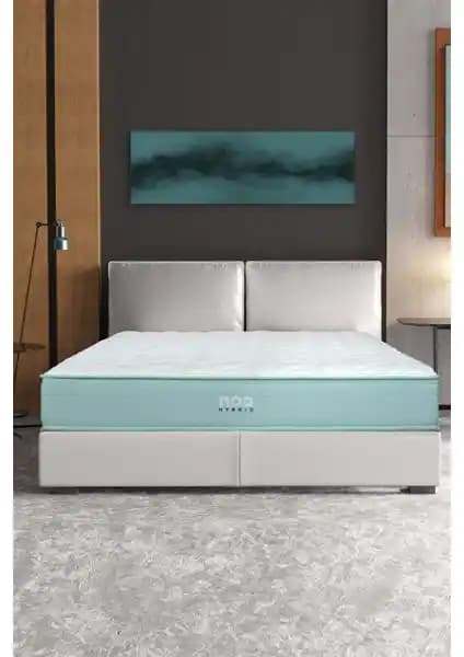 Noa Yatak Elite Ultra ve Yatsan Uykucu Elite Pillow Top Karşılaştırması