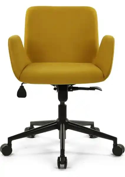 Seduna Ferrara ve Seduna Skagen Plus Çalışma Sandalyeleri Karşılaştırması ve Özellikleri