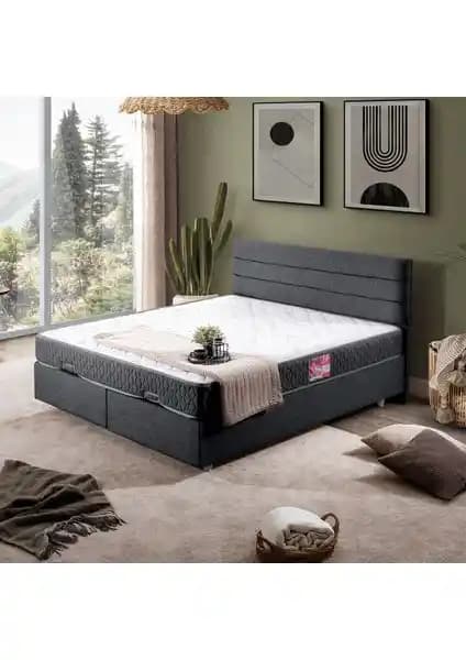 Setay Sofia ve Setay Viyana Çift Kişilik Baza Başlıkları Karşılaştırması