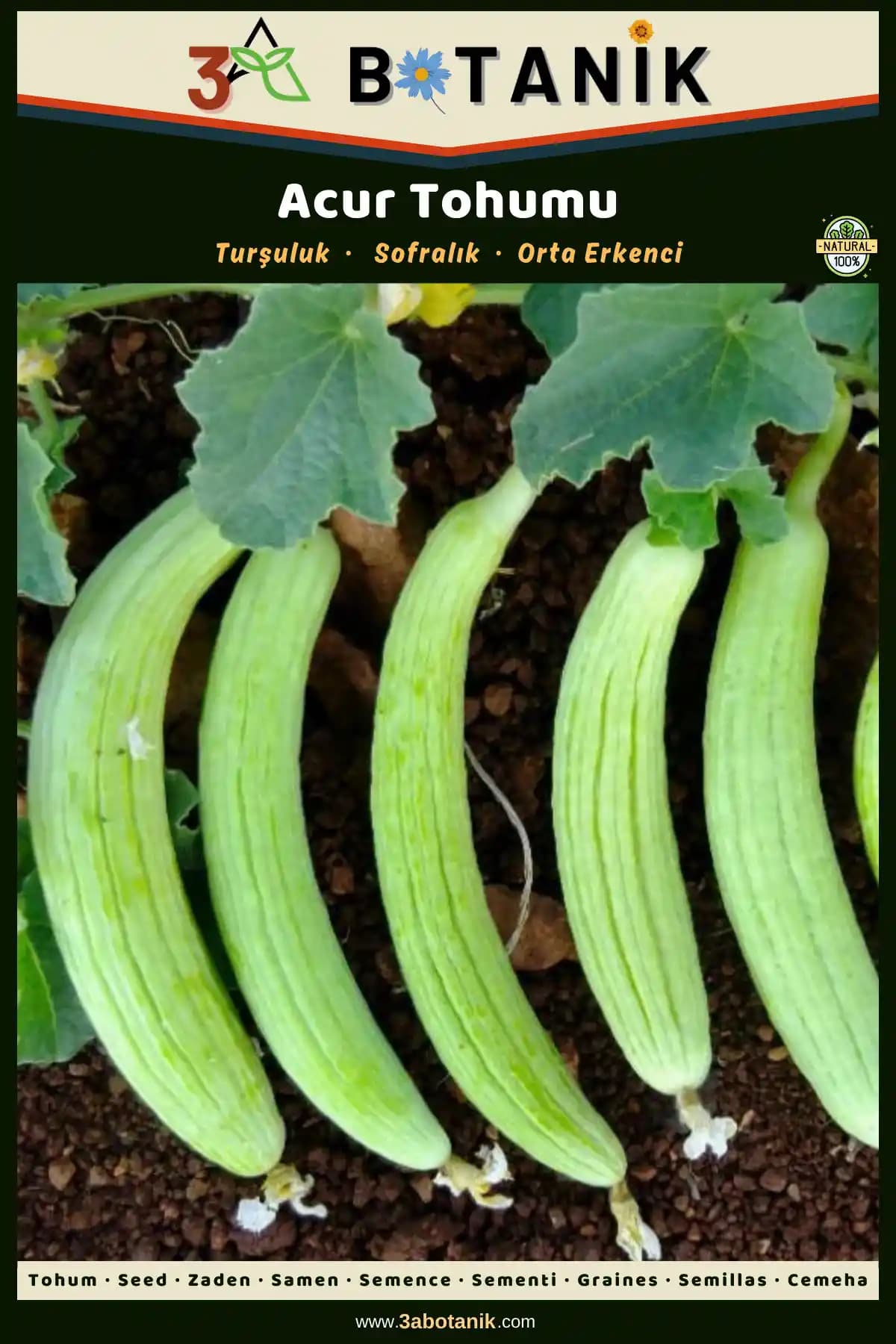 3A Botanik Acur Tohumu: Sürdürülebilir ve Doğal Tarım İçin Yüksek Kaliteli Sebze Tohumu