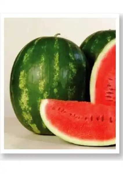 Agrodal Tarım Diyarbakır Kapruzu Tohumu: Doğal ve Yerli Tohumların Özellikleri ve Piyasa Durumu