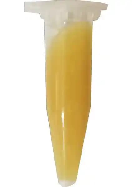 Agroera Keiki Macunu ile Orkide Çoğaltma ve Bakımında Yenilikçi Çözüm