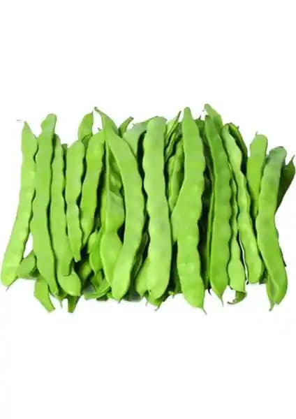 Ata Tohumculuk 30 Adet Kılçıksız Sırık Ayşe Ka<dı>n Fasülye Tohumu İncelemesi ve Özellikleri