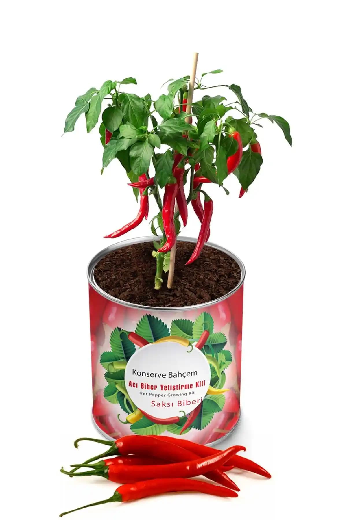Evde Acı Biber ve Yeşillik Yetiştirme Kiti ile Sağlıklı ve Taze Ürünler Elde Edin