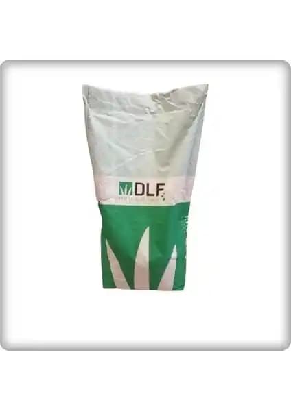 Fare Kulağı Tohumu ile Gölge ve Yarı Gölge Alanlar İçin Doğal Peyzaj Çözümü