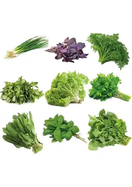 Oxe Garden Süper Karışık Yeşillik: Doğal ve Taze Bahçe Yeşillikleri İçin Kapsamlı Rehber