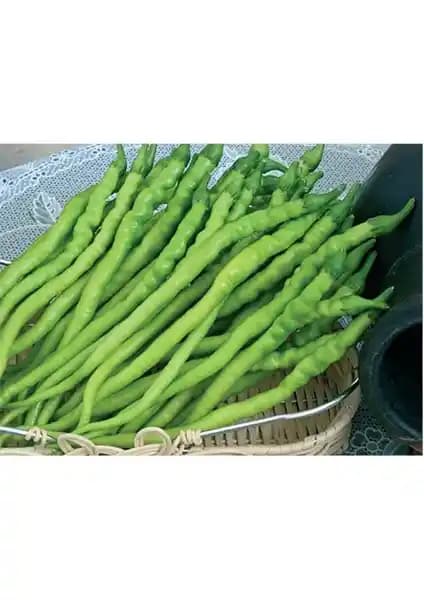 Yaprak Biber Kıl Sivri Tatlı Tohumu: Yüksek Verimli ve Hızlı Çimlenen Sebze Tohumu