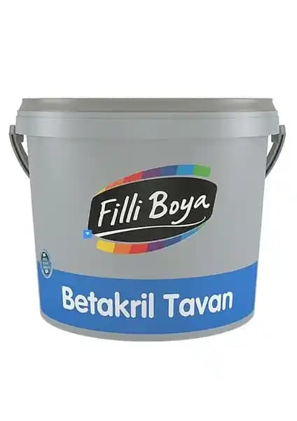Filli Boya Betakril ve Marshall Tavan Boyası Karşılaştırması ve Seçim Rehberi