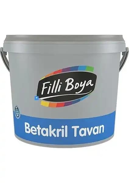 İceavm Filli Boya Betakril ve Polisan Silikonlu Mat Boya Karşılaştırması 1