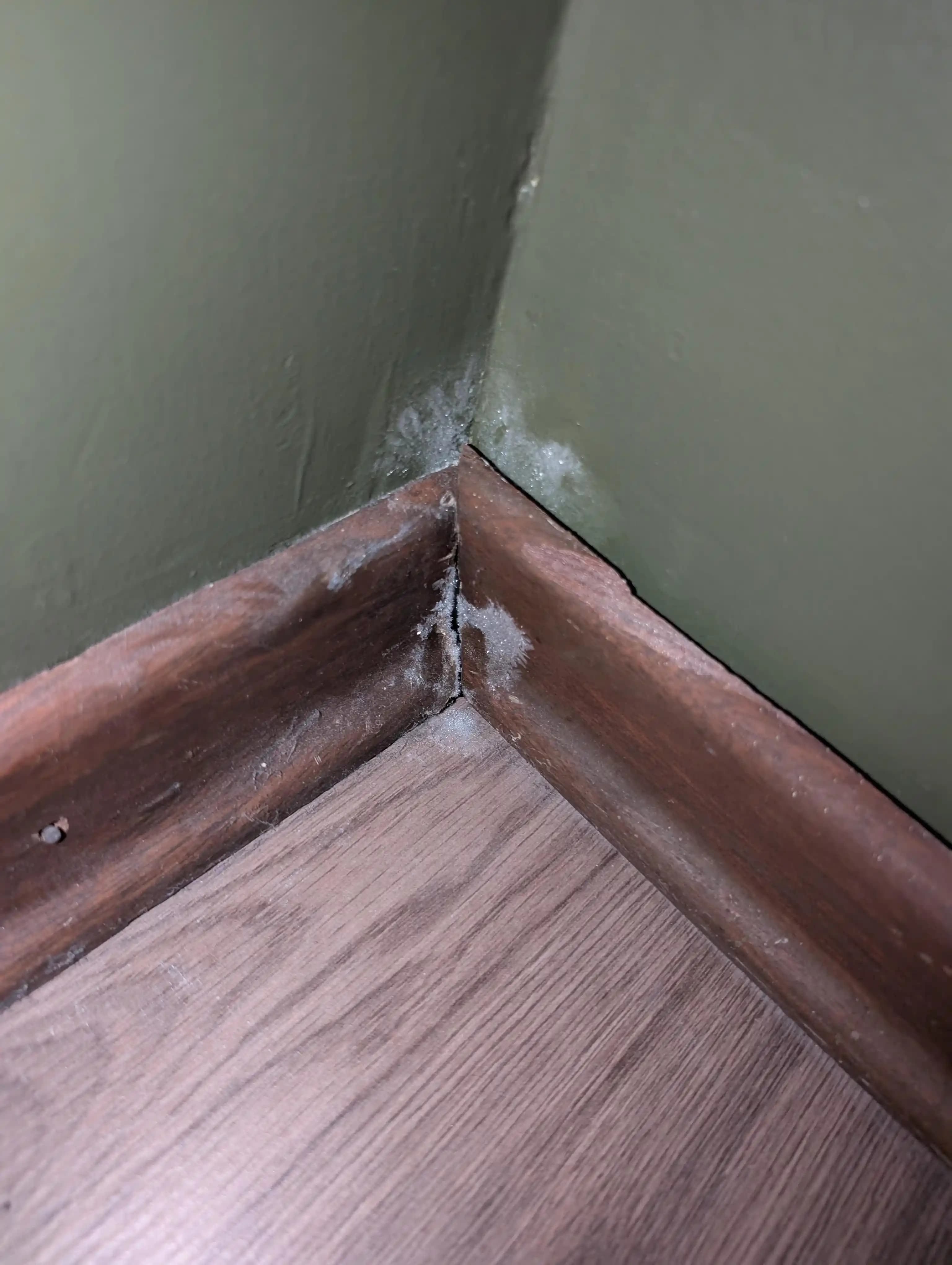 Dış Cepheden İçeriye Buz Girişi: Nedenleri, Tespiti ve Etkili Çözüm Yöntemleri