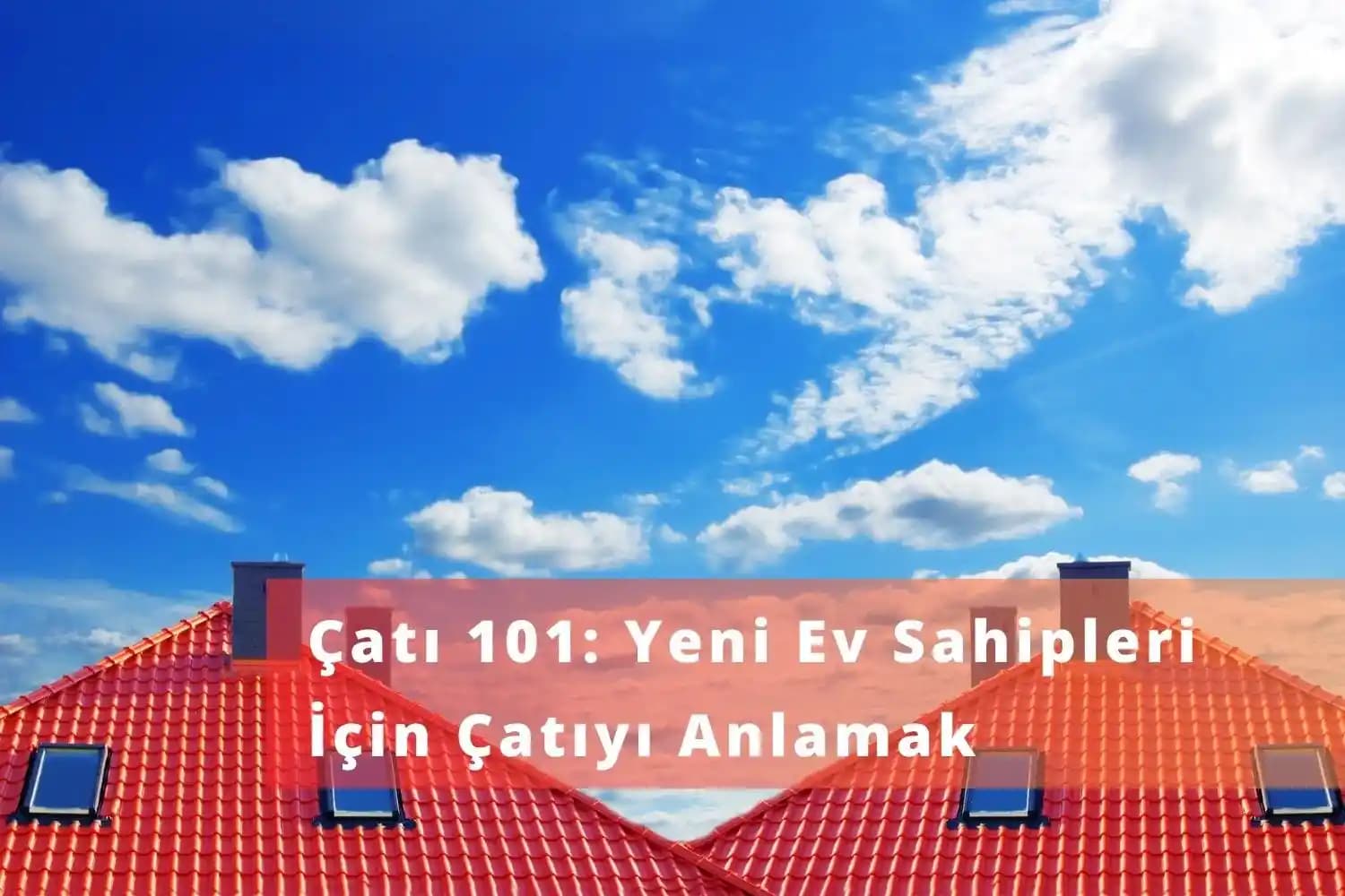 Duvar İçindeki Seslerin Elektriksel Arızalar ve Haşere Faaliyetleriyle İlişkisi