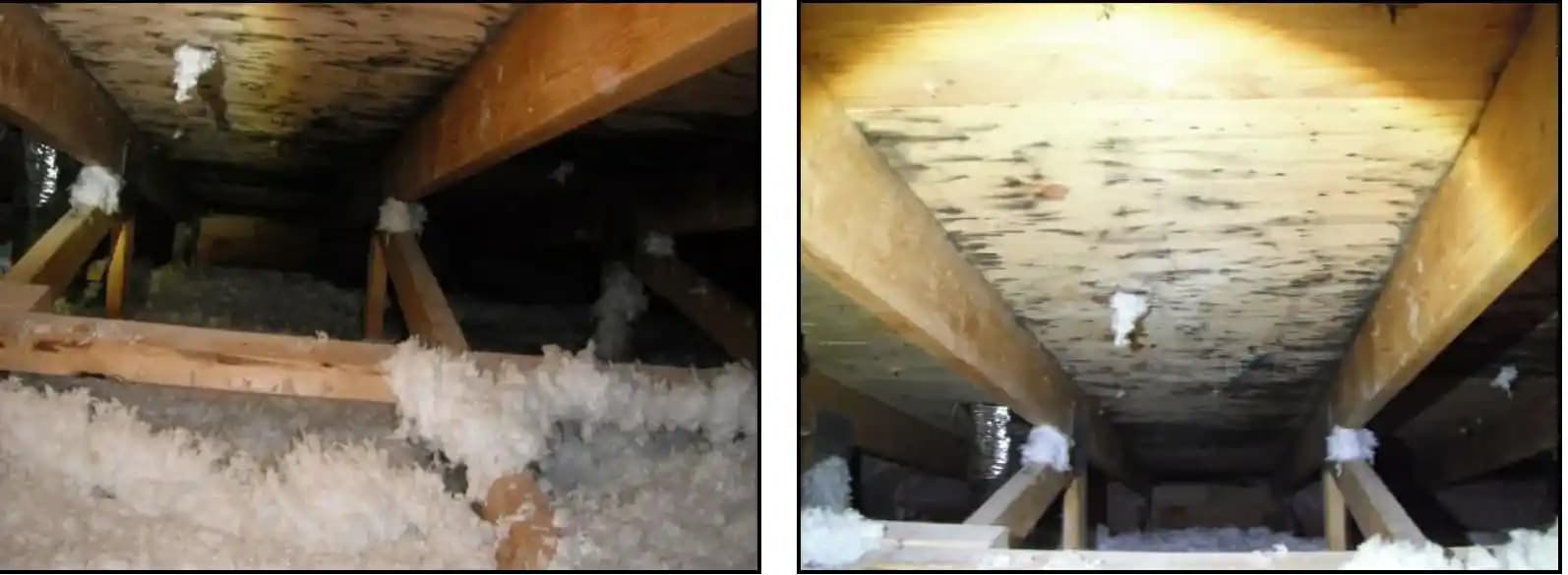 Çatı Arasında Küf Oluşumu: Nedenleri, Tespiti ve Onarım Maliyetleri Hakkında Detaylı Bilgi