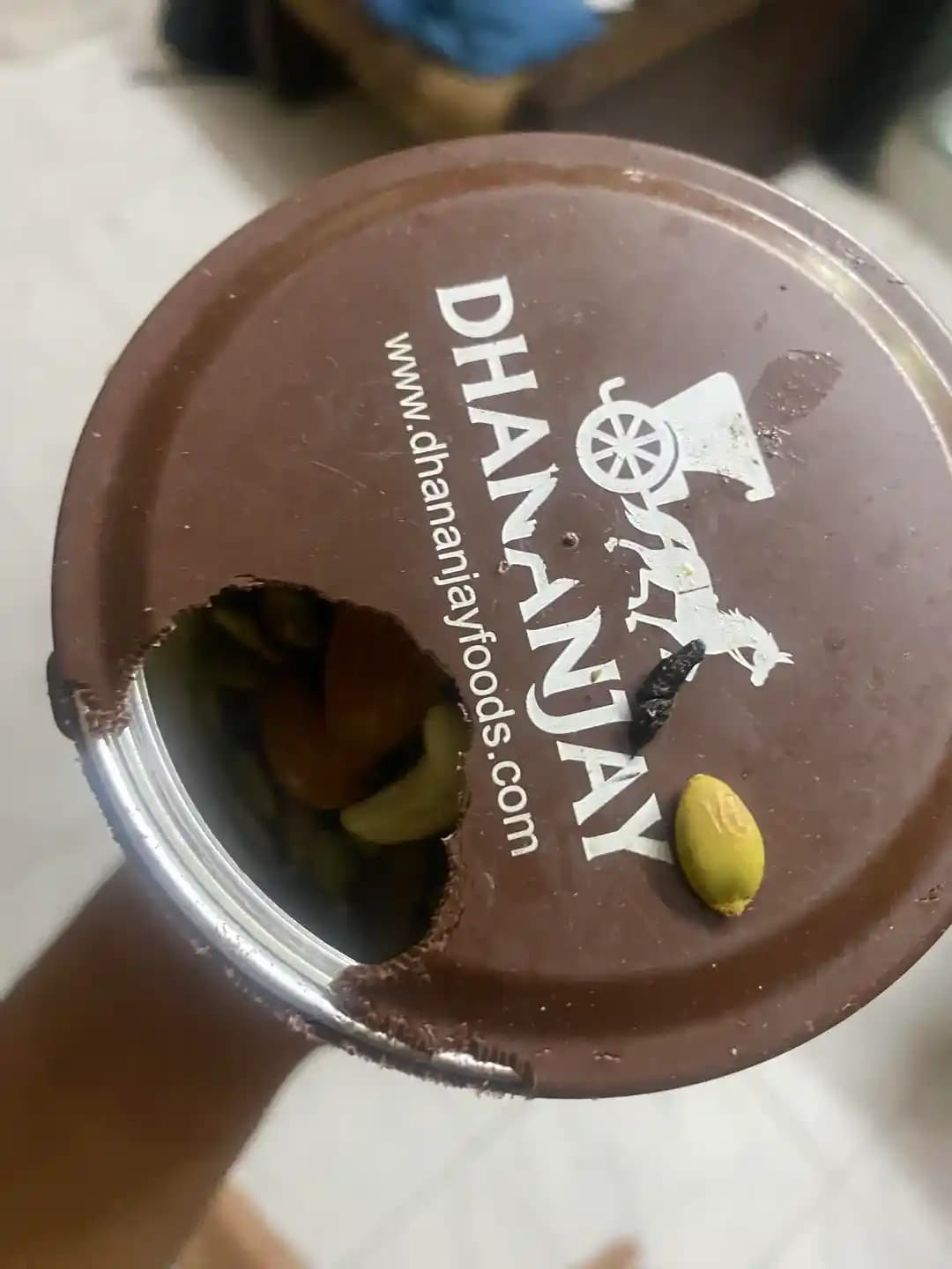 Evde Fare ve Sıçanlarla Mücadelede Etkili Yöntemler ve Stratejiler