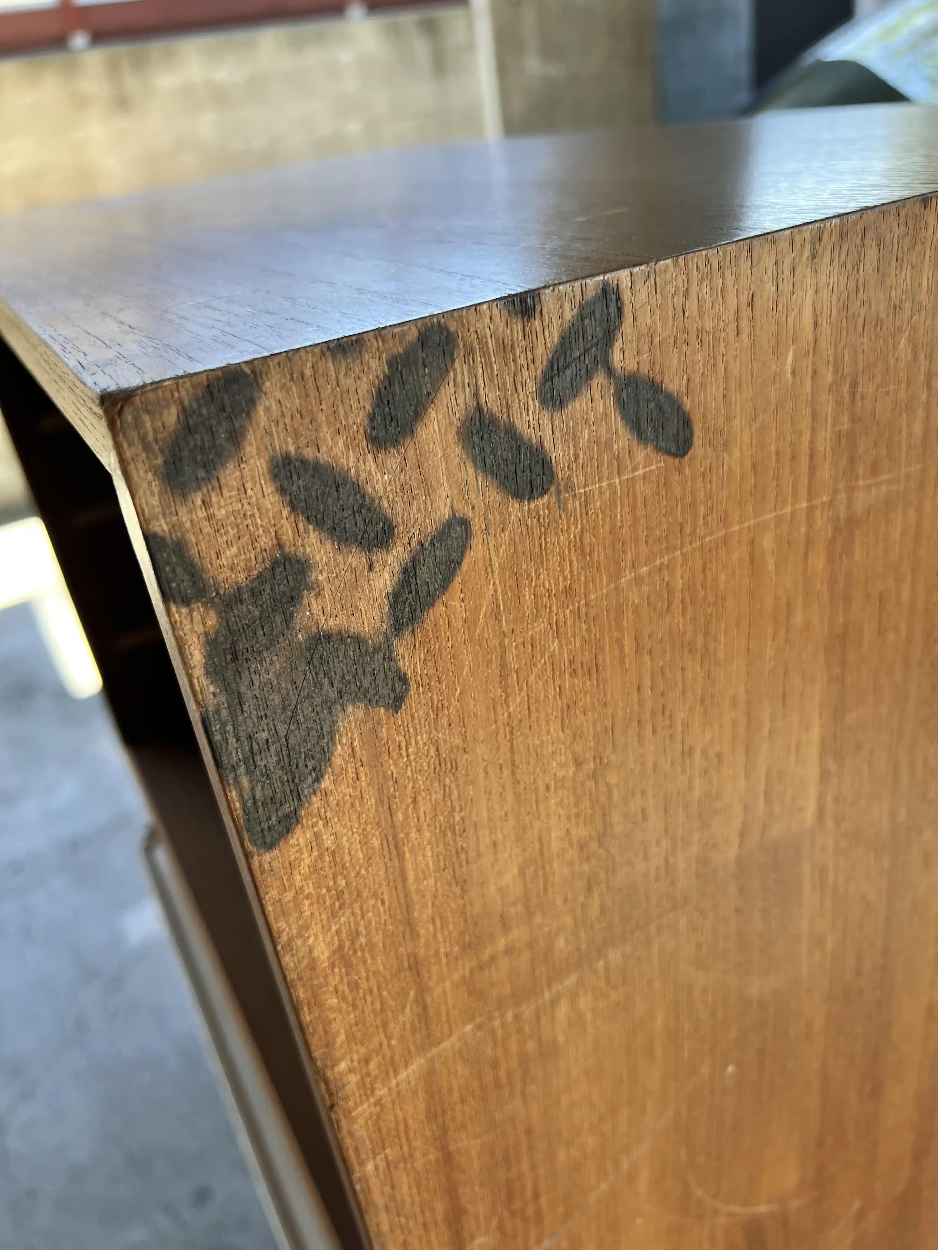 Tik Dolaplarda Oluşan Siyah Lekelerin Nedenleri ve Etkili Temizleme Yöntemleri