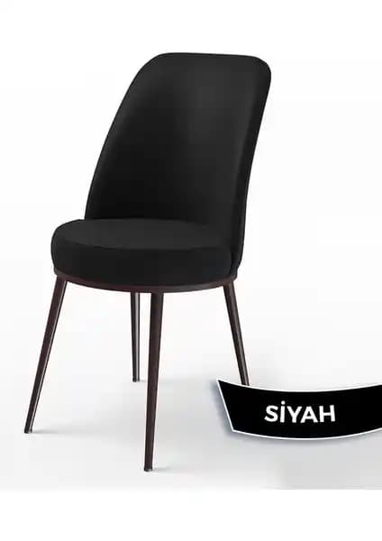 Canisa Dexa ve Nuna Serisi Mutfak Sandalyeleri Karşılaştırması ve Özellikleri