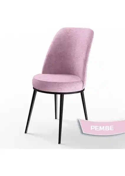 Canisa Serisi Mutfak Sandalyeleri Karşılaştırması: Tasarım, Dayanıklılık ve Konfor Analizi