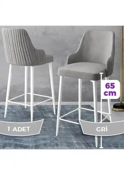 Canisa Tera ve Trex Serisi Sandalyelerin Karşılaştırması: Tasarım ve Dayanıklılık Analizi