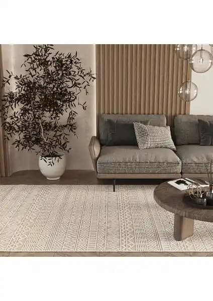 İki Bej Renkli Modern Halı Modelinin Detaylı Karşılaştırması ve Özellikleri