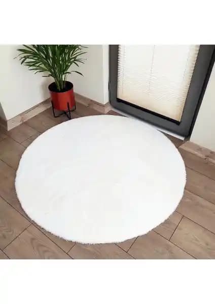 Lagom Life ve Trivago Peluş Halı Karşılaştırması: Özellikler ve Kullanıcı Yorumları