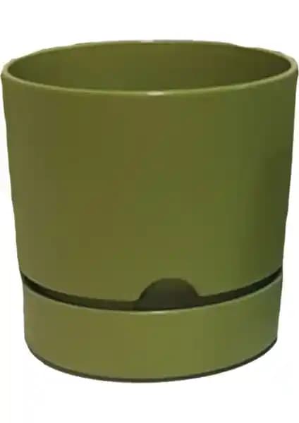 Poliwork Begonya Saksı Serisi Karşılaştırması 15 cm ve 18 cm Modelleri