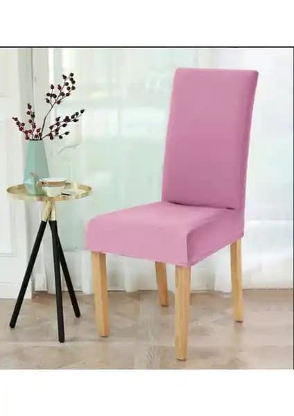 Riselerhome Elgeyar Likrali ve Özmakan Yüksek Kaliteli Sandalye Kılıfı Karşılaştırması