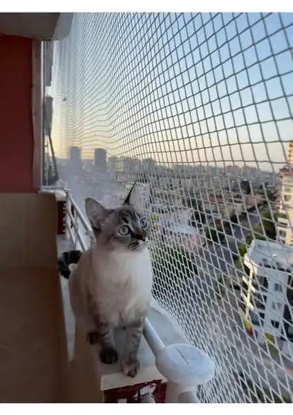 Netlife 1 mm Kare Kesim Filesi ile Güvenli ve Dayanıklı Koruma Çözümü