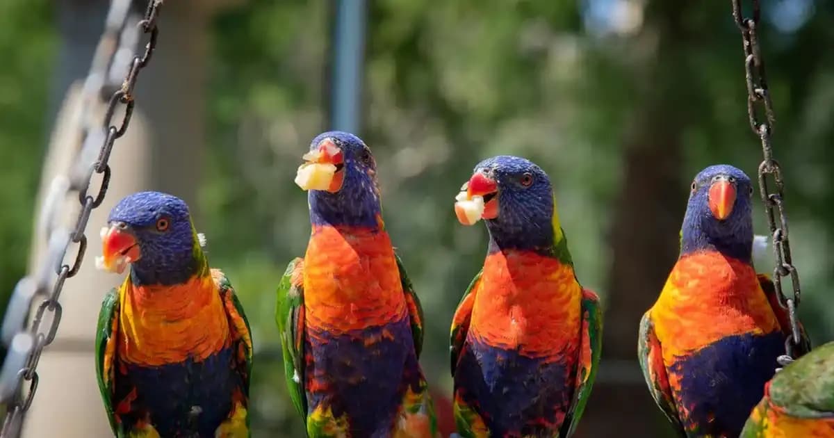 3 Kişilik Arkadaşlık Kolyesi: Anlamlı ve Dekoratif Takı Seçenekleri