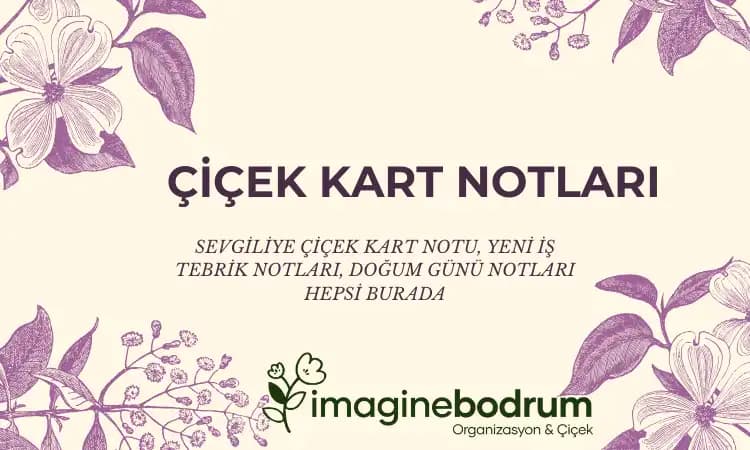 Anlamlı Çiçek Notlarıyla Dekorasyonda Zarafeti Yansıtma Rehberi