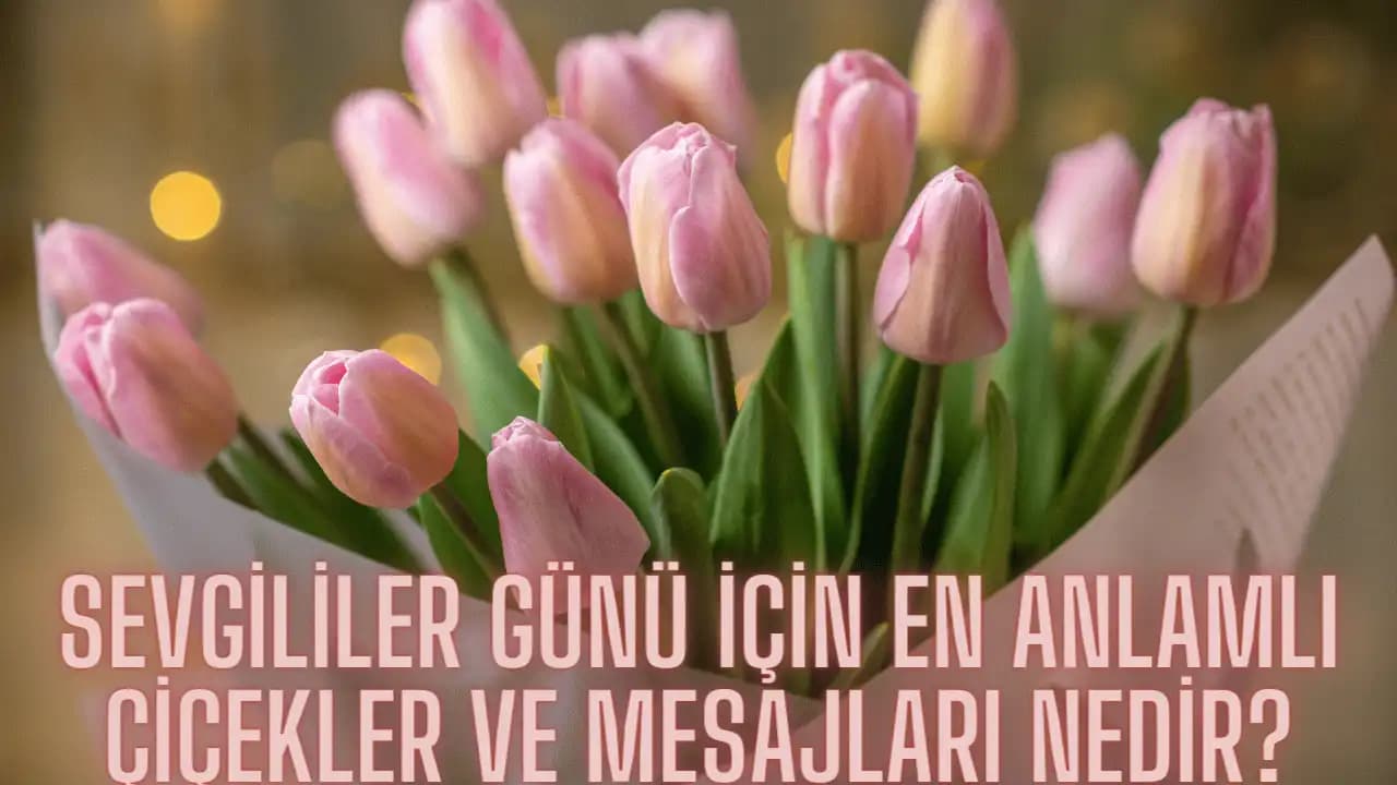 Anlamlı Çiçekler ve Dekorasyonda Kullanım Alanları: Duyguları ve Mesajları Yansıtan Seçenekler