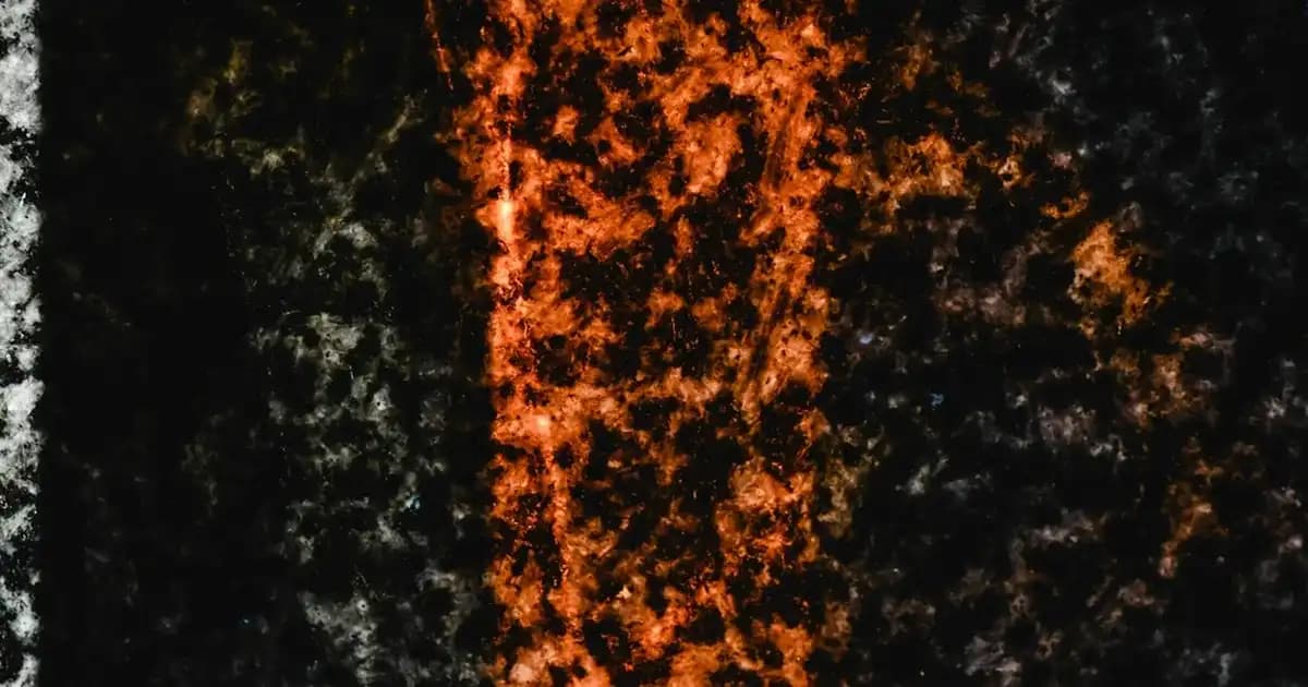 Aşkı ve Sevgi Duygularını Yansıtan Çiçekler ve Dekorasyonda Kullanım İpuçları