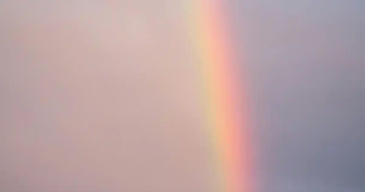 2025'te Ayrılabilir Orta Sehpa ile Ev Dekorasyonunuzda Devrim Yaratın