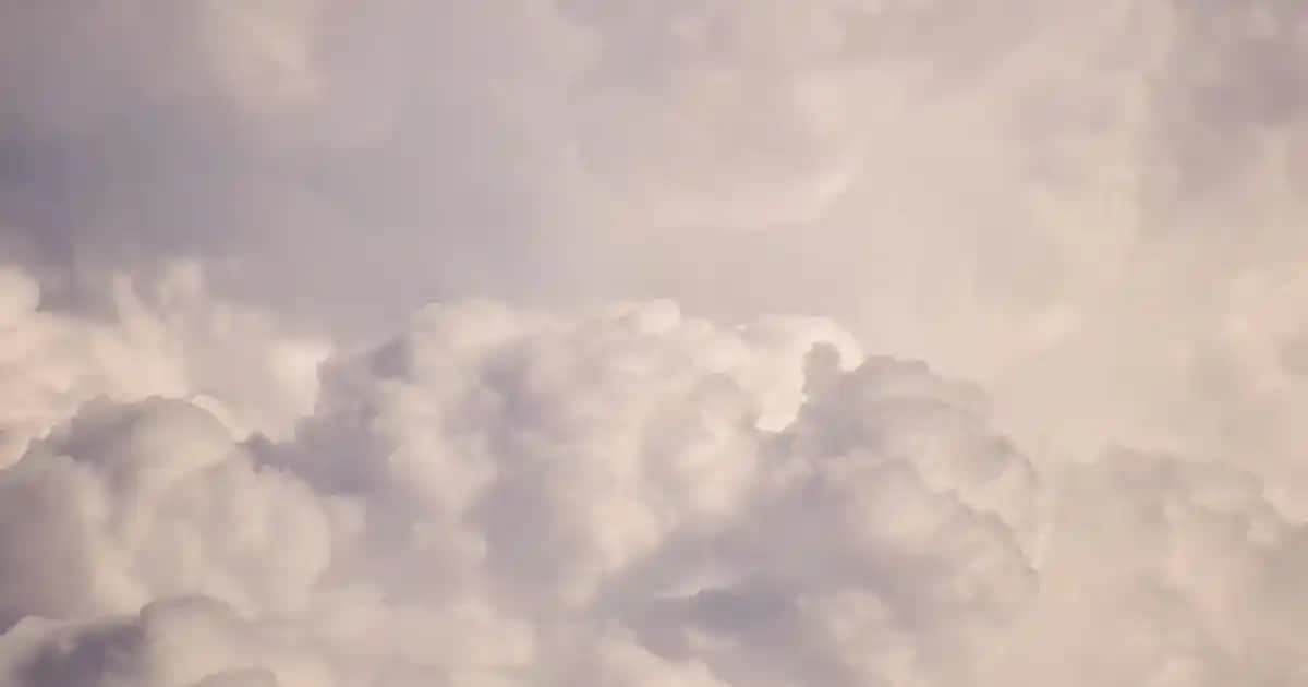 Beyaz Post Halı ile Modern ve Klasik Dekorasyonda Şıklık ve Fonksiyonellik