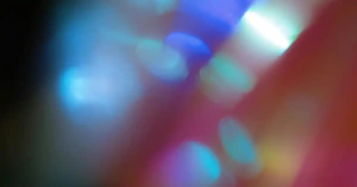 Çiçeksepeti ve Dekorasyon: İletişim ve Doğal Dokunuşların Önemi