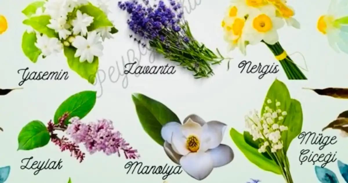 Dekorasyonda En Güzel Çiçek Seçenekleri ve Dekorasyon İpuçları