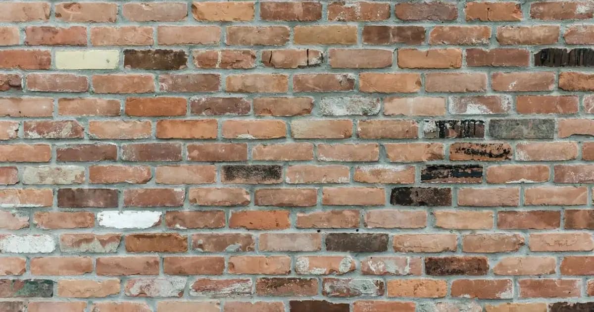 Emsan Daisy Kek Kalıbı ile Mutfakta Estetik ve İşlevselliği Birleştirin