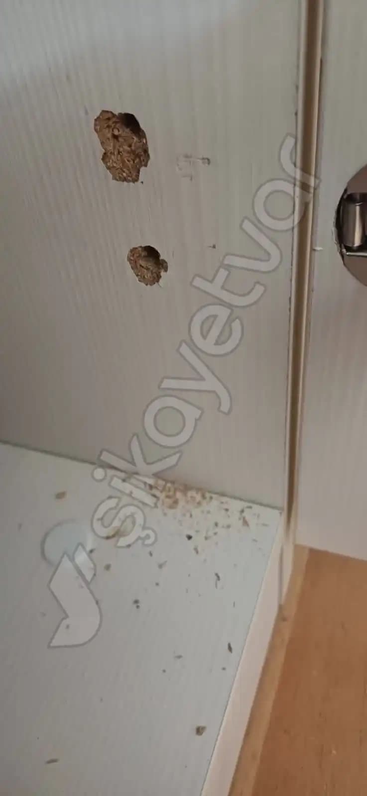 Etimesgut Öğretmenler İçin Mobilya ve Dekorasyon Rehberi İşlevsellik ve Estetiği Bir Arada Sunar