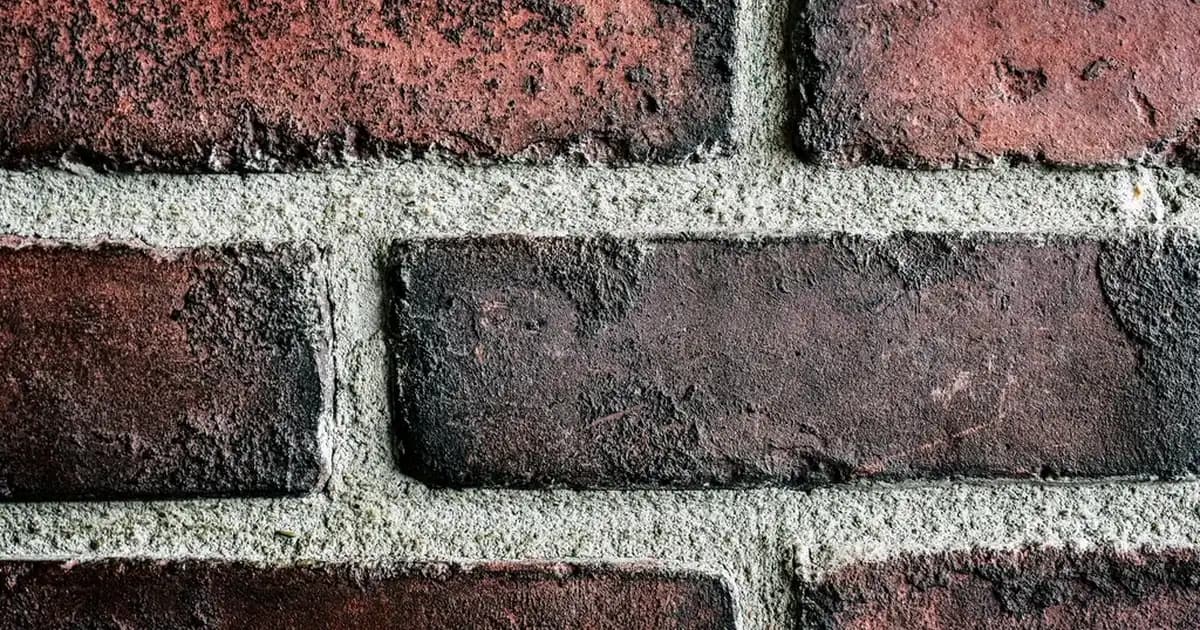 Hasır Sepet Kapaklı Modelleri ile Ev Dekorasyonunda Şıklık ve Fonksiyonellik