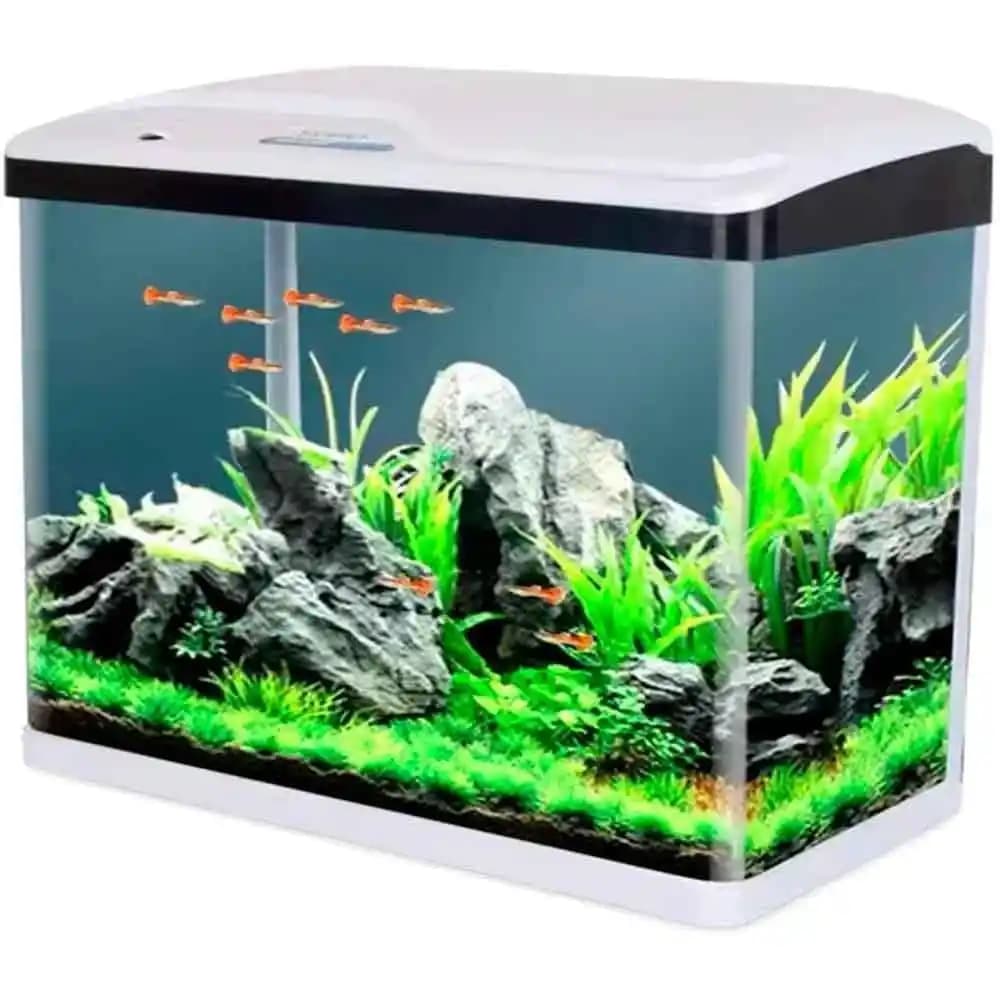 İthal Akvaryumlar ile Modern ve Doğal Dekorasyon Çözümleri Sunan Seçenekler