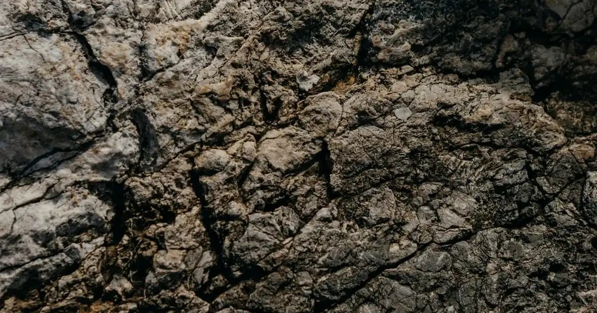Kalın Polar Battaniyelerle Ev Dekorasyonunda Sıcaklık ve Şıklık Yaratma Rehberi